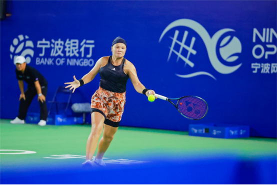 的意甲联赛 的意甲联赛