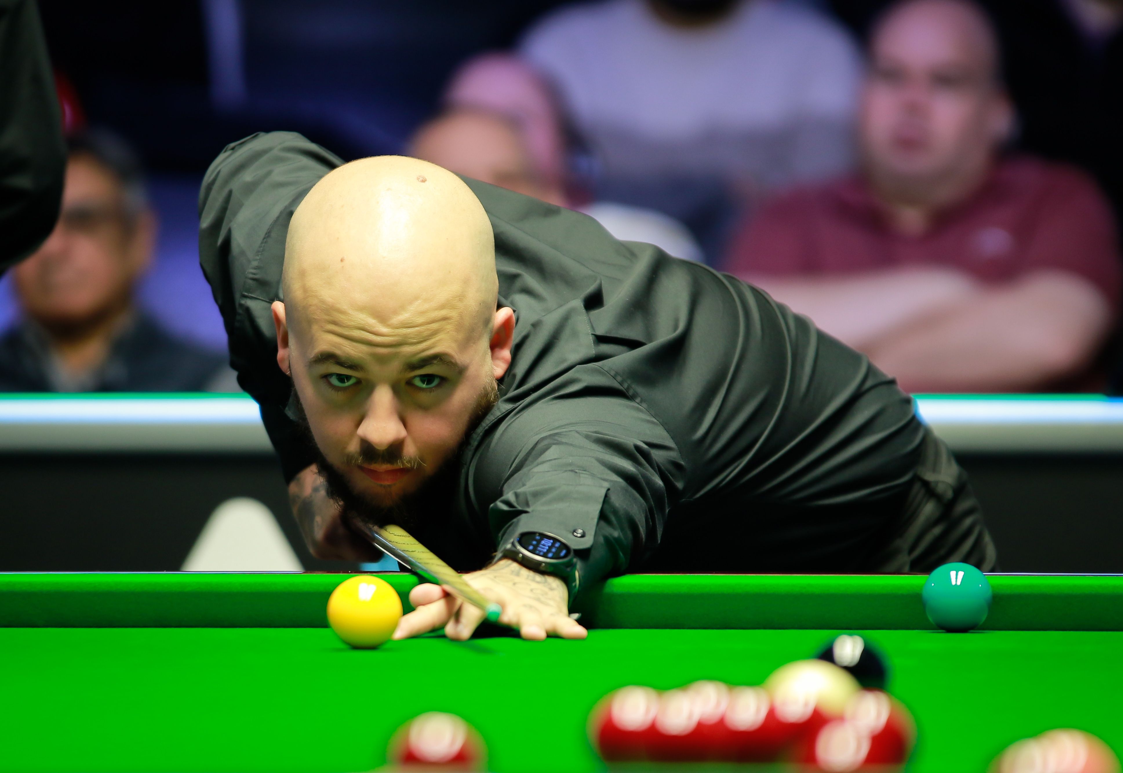 哈利的组织 哈利的组织