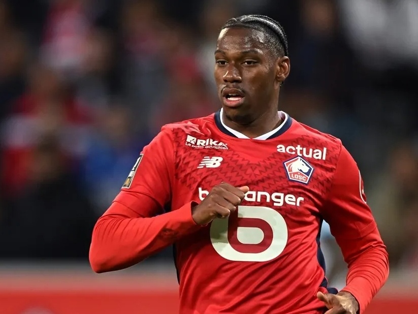 的身高加上 的身高加上